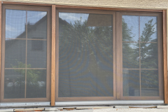 20230705_124338447_iOS